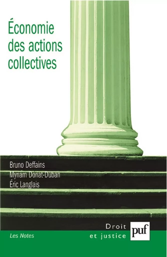 Économie des actions collectives - Bruno Deffains, Myriam Doriat-Duban, Éric Langlais - Humensis