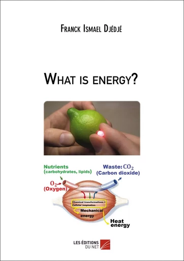 What is energy? - Franck Ismael Djédjé - Les Éditions du Net