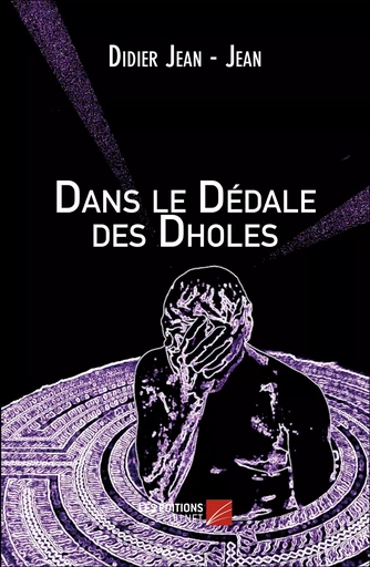 Dans le Dédale des Dholes - Didier Jean - Jean - Les Éditions du Net