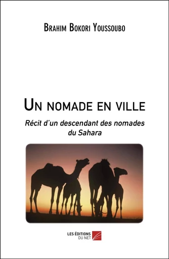 Un nomade en ville - Brahim Bokori Youssoubo - Les Éditions du Net