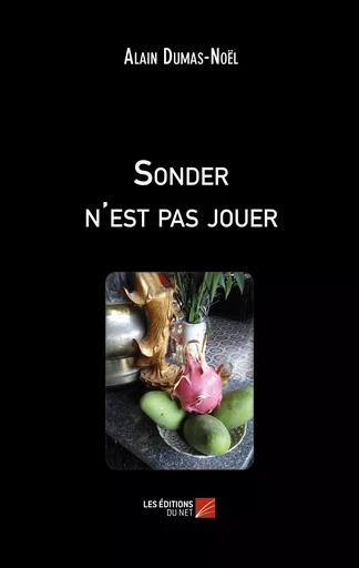 Sonder n'est pas jouer - Alain Dumas-Noël - Les Éditions du Net