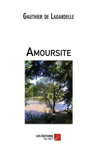 Amoursite - Gauthier de Lagardelle - Les Éditions du Net