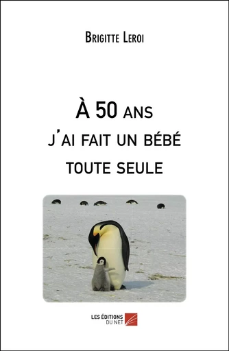 À 50 ans j'ai fait un bébé toute seule - Brigitte Leroi - Les Éditions du Net