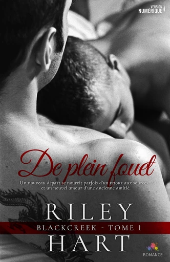 De plein fouet - Riley Hart - MxM Bookmark