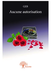 Aucune autorisation