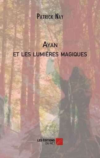 Ayan et les lumières magiques - Patrick Nay - Les Éditions du Net