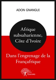 Afrique subsaharienne, Côte d'Ivoire : dans l'engrenage de la Françafrique