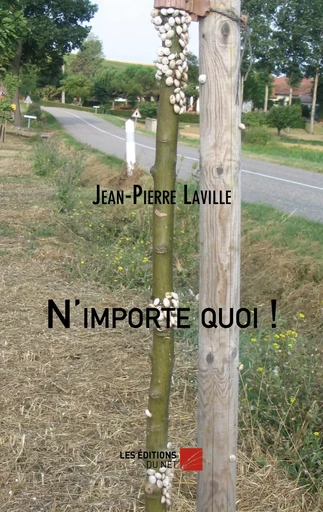 N'importe quoi ! - Jean-Pierre Laville - Les Éditions du Net