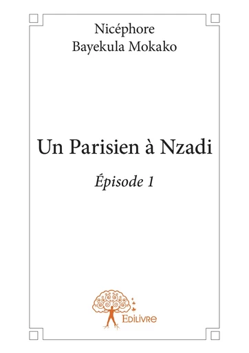 Un Parisien à Nzadi - Nicéphore Bayekula Mokako - Editions Edilivre