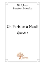 Un Parisien à Nzadi