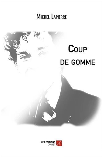 Coup de gomme - Michel Lapierre - Les Éditions du Net