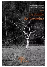 Le Souffle de Novembre