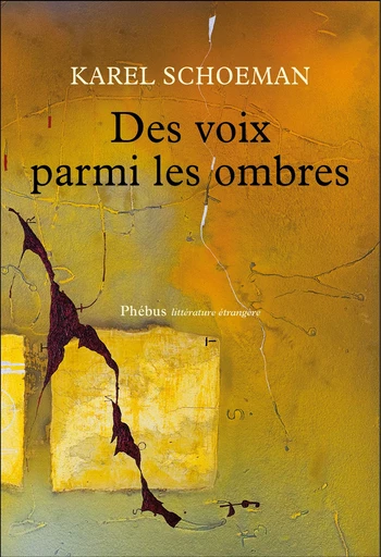 Des voix parmi les ombres - Karel Schoeman - Libella