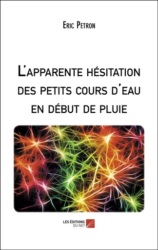 L'apparente hésitation des petits cours d'eau en début de pluie - Eric Petron - Les Éditions du Net