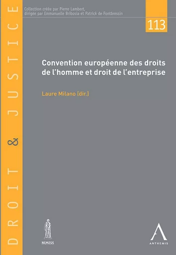 Convention européenne des droits de l'homme et droit de l'entreprise - Laure Milano (dir.) - Anthemis