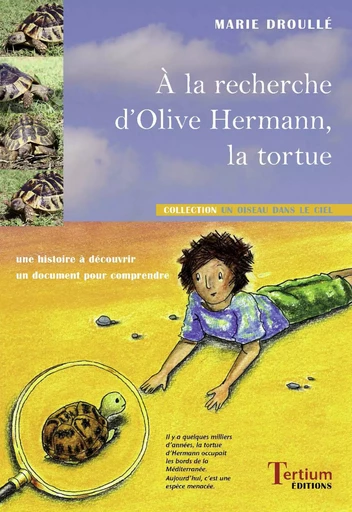 A la recherche d'Olive Hermann, la tortue - Marie Droullé - Tertium éditions