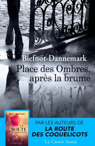 Place des ombres, après la brume - Véronique Biefnot, Francis Dannemark - Le Castor Astral éditeur