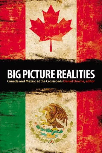 Big Picture Realities -  - Wilfrid Laurier University Press