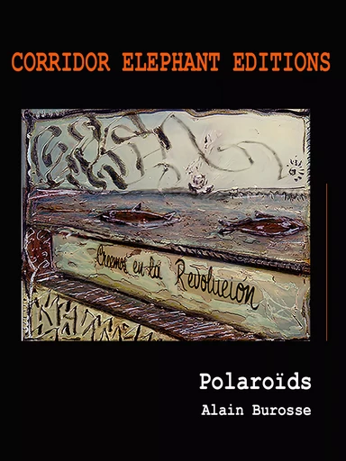 Polaroïds - Alain Burosse - Corridor Elephant