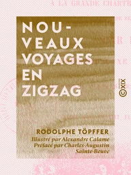 Nouveaux voyages en zigzag