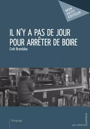 Il n'y a pas de jour pour arrêter de boire