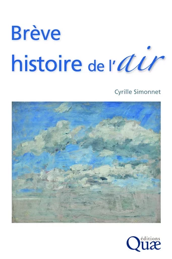 Brève histoire de l'air - Cyrille Simonnet - Quae