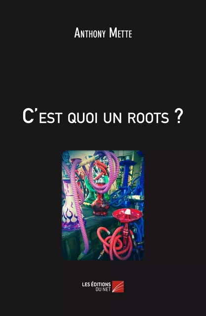 C'est quoi un roots? - Anthony Mette - Les Éditions du Net