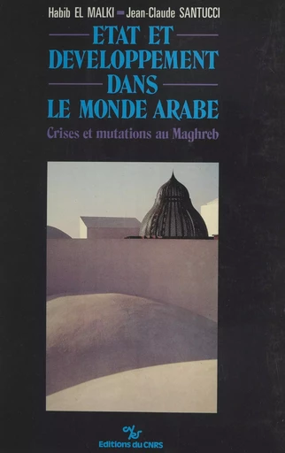 État et développement dans le monde arabe : crises et mutations au Maghreb -  Collectif - CNRS Éditions (réédition numérique FeniXX)