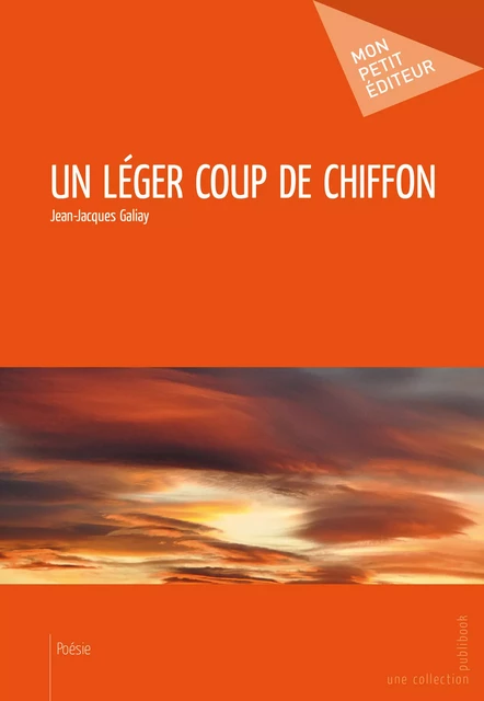 Un léger coup de chiffon - Jean-Jacques Galiay - Mon Petit Editeur