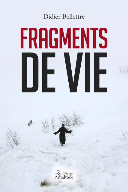 Fragments de vie - Didier Bellettre - Éditions Amalthée