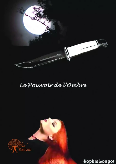 Le pouvoir de l'ombre - Sophie Louyot - Editions Edilivre