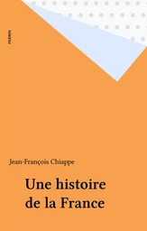 Une histoire de la France