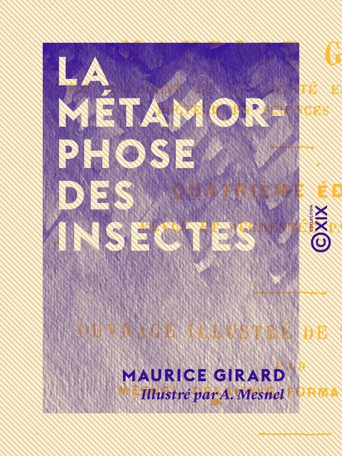 La Métamorphose des insectes - Maurice Girard - Collection XIX