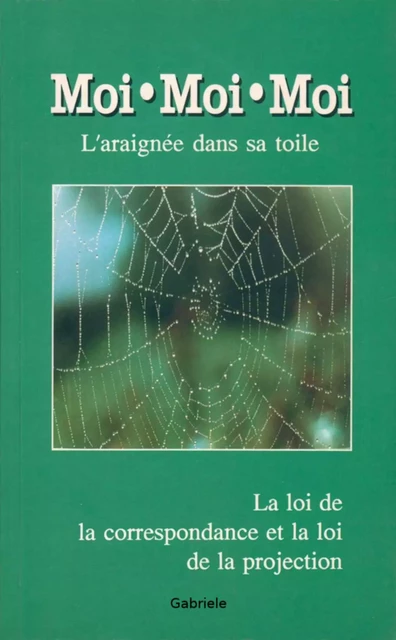 Moi moi moi, l'araignée dans sa toile -  Gabriele - Bookelis