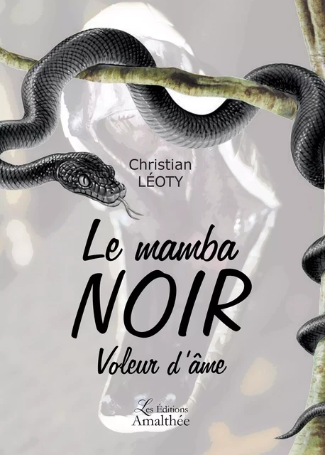 Le mamba noir - Christian Léoty - Éditions Amalthée