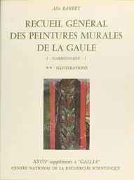 Recueil général des peintures murales de la Gaule (1.2) : Province de Narbonnaise, Glanum (Illustrations)