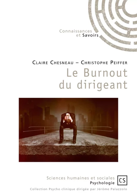 Le Burnout du dirigeant - Claire Chesneau, Christophe Peiffer - Connaissances & Savoirs