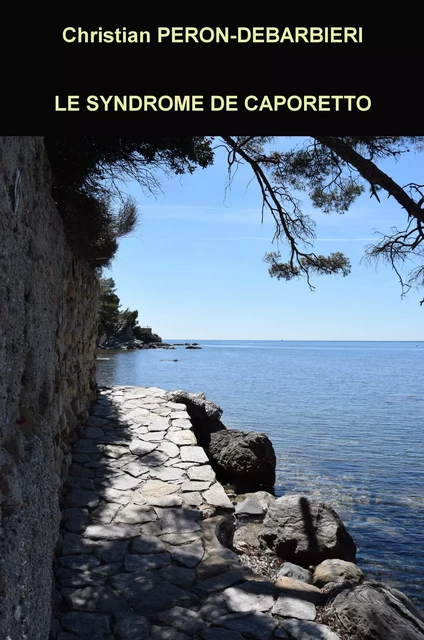 Le syndrome de Caporetto - Christian Péron-Debarbieri - Agir Provence