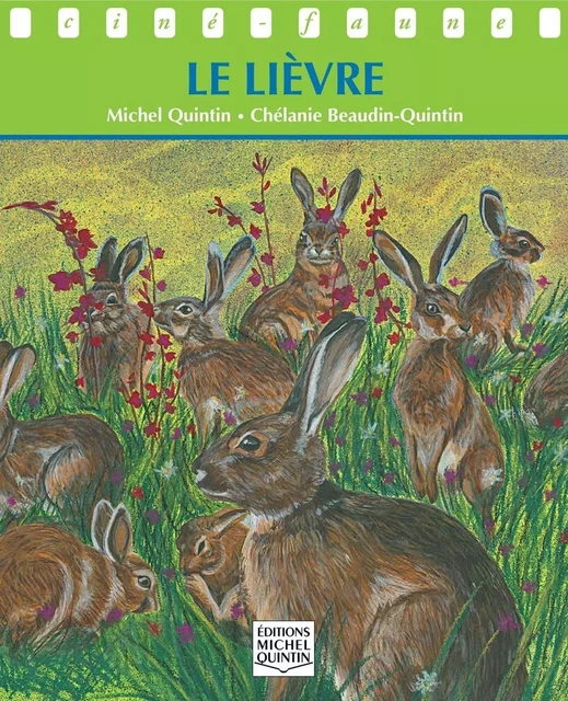 Le lièvre - Michel Quintin - Éditions Michel Quintin