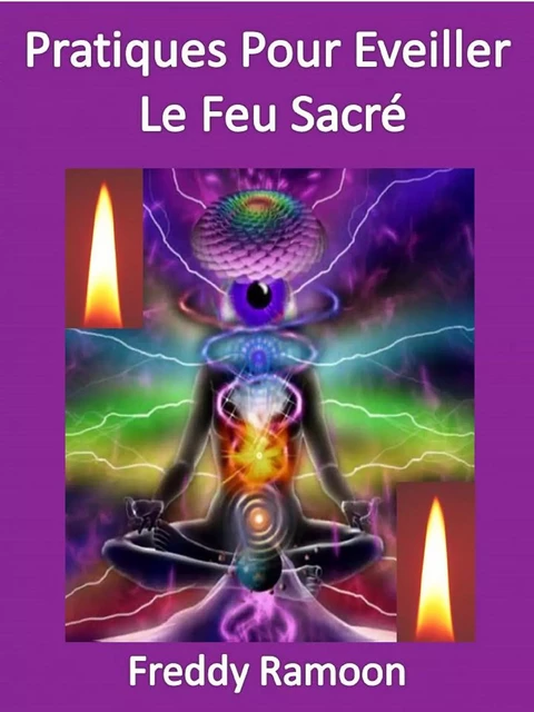 Pratiques Pour éveiller Le Feu Sacré - Freddy Ramoon - Bookelis