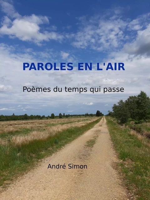 Paroles en l'air - André SIMON - Bookelis