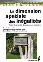 Dimension spatiale des inégalités