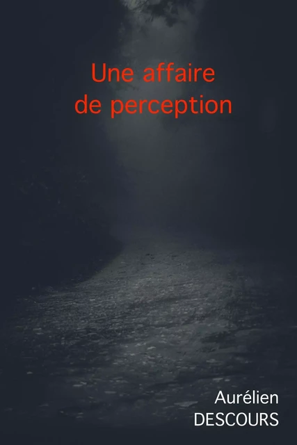 UNE AFFAIRE DE PERCEPTION - AURELIEN DESCOURS - Bookelis