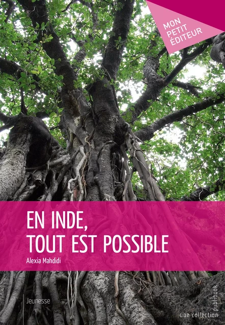 En Inde, tout est possible - Alexia Mahdidi - Mon Petit Editeur