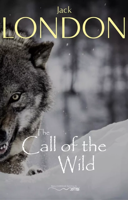 The Call of the Wild - Jack London - Big Cheese Books