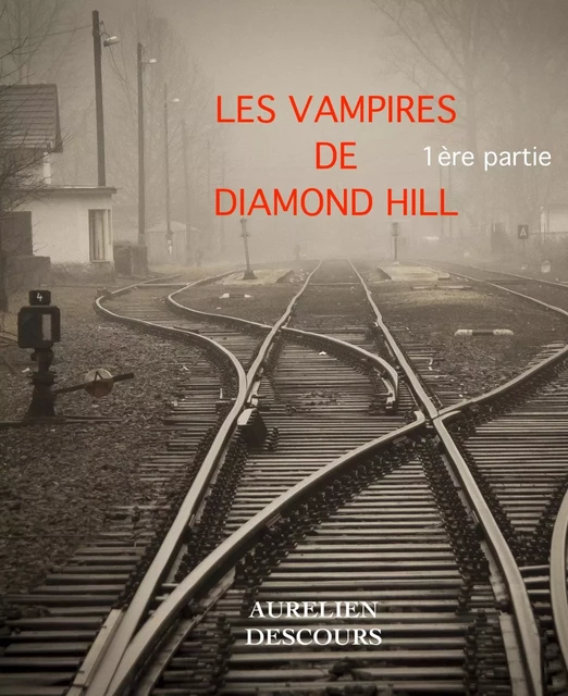 LES VAMPIRES DE DIAMOND HILL - AURELIEN DESCOURS - Bookelis