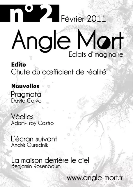 Angle Mort numéro 2 - Benjamin Rosenbaum, David Calvo, André Ourednik, Adam-Troy Castro - Angle Mort