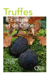 Truffes d'Europe et de Chine