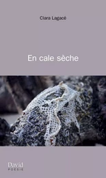 En cale sèche