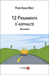 12 Fragments d'asphalte